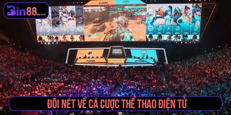 Giới thiệu hình thức cá cược thể thao điện tử