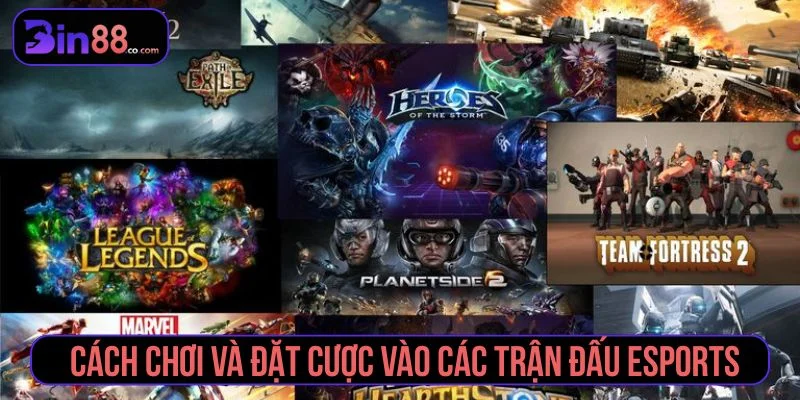 Tham khảo cách đặt cược thể thao điện tử