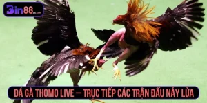 đá gà thomo live