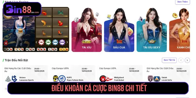 Điều khoản cá cược Bin88 chi tiết