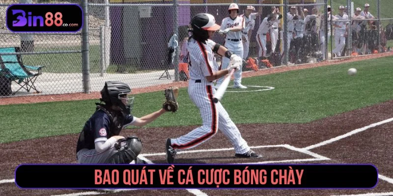 Giới thiệu hình thức cá cược bóng chày