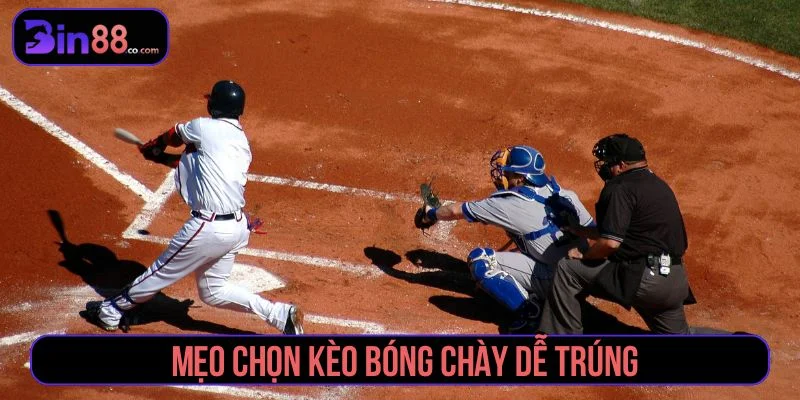 Gợi ý các mẹo cá cược bóng chày hiệu quả