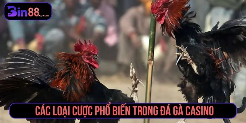 Người chơi cần nắm rõ các loại cược