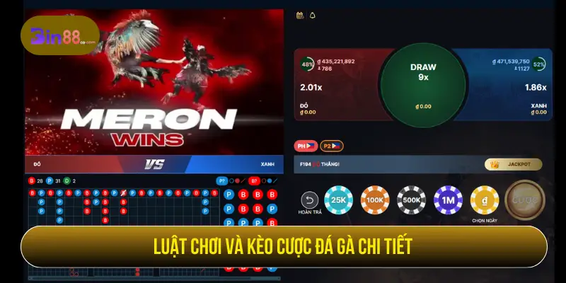 Luật chơi và kèo cược đá gà chi tiết