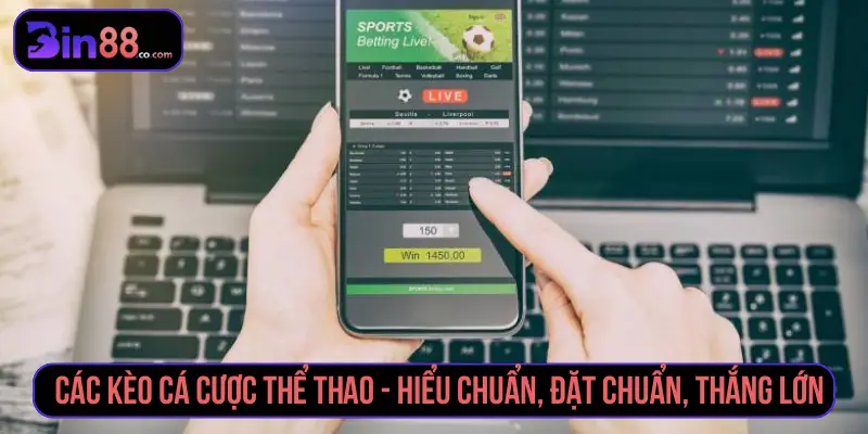 Các kèo cá cược thể thao - Hiểu chuẩn, đặt chuẩn, thắng lớn