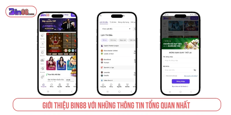 Bin88 – Trang Chủ Game Đổi Thưởng Thượng Lưu #1 Châu Á Giới thiệu BIN88 với những thông tin tổng quan nhất