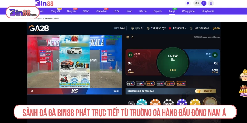 Bin88 – Trang Chủ Game Đổi Thưởng Thượng Lưu #1 Châu Á Sảnh đá gà BIN88 phát trực tiếp từ các trường gà hàng đầu Đông Nam Á